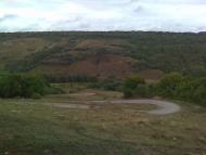 Грушка з panoramio.com