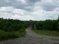 Сьомаки з panoramio.com