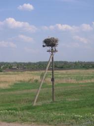 Новоселівка з panoramio.com