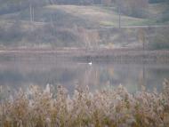 Воля-Гомулецька з panoramio.com