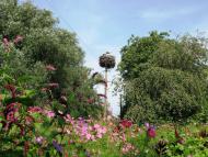 Михайлівка з panoramio.com