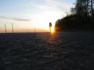 Рідколісся - Останні фото