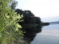 Миронівський з panoramio.com