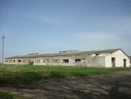 Вівчицьк з panoramio.com