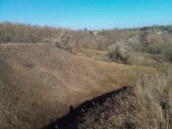 Лозуватка з panoramio.com