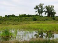 Михайлівка з panoramio.com