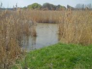 Райківщина з panoramio.com