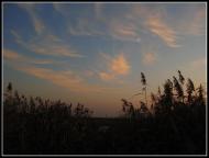 Дігтів з panoramio.com