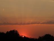 Оріхове з panoramio.com