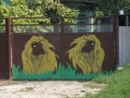 Лікарівка з panoramio.com