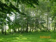 Рудня з panoramio.com