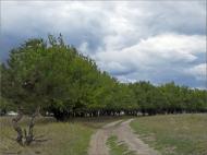 Тернуватка з panoramio.com