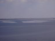 Свистунове з panoramio.com