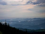 Стригальня з panoramio.com - Стригальня