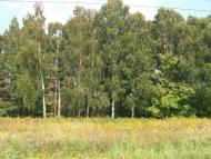 Воля-Любитівська з panoramio.com