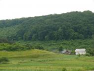 Криниця з panoramio.com