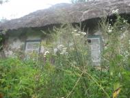 Петрівське з panoramio.com