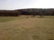 Гмирянка з panoramio.com