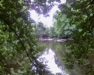 Березна з panoramio.com