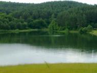 Суйми з panoramio.com