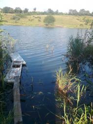 Раєво-Олександрівка з panoramio.com