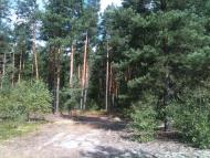 Волиця з panoramio.com