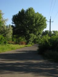 Миронівський з panoramio.com