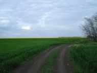 Широколанівка з panoramio.com