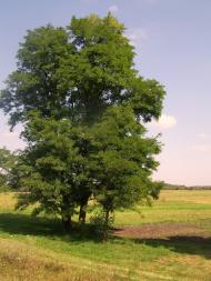 Різня з panoramio.com