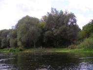 Щурівка з panoramio.com