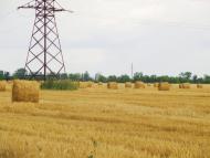 Широколанівка з panoramio.com