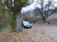 Луківка - Останні фото