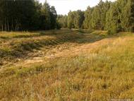 Бурківка з panoramio.com