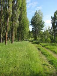 Привітне з panoramio.com