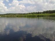 Гупалівка з panoramio.com