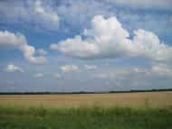 Дружба з panoramio.com