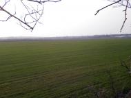 Созонівка з panoramio.com