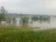 Кошуляни з panoramio.com