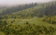 Видричка з panoramio.com - Видричка