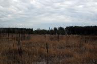 Метьолкіне з panoramio.com