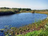 Дігтярі з panoramio.com