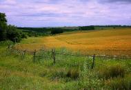 Китайгород з panoramio.com