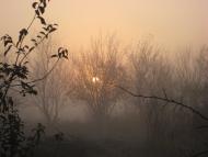 Масківці з panoramio.com