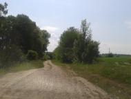 Лугове з panoramio.com