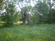 Червоні Партизани з panoramio.com