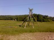 Верба з panoramio.com