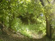 Верхня Кринка з panoramio.com