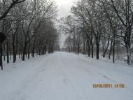 Миронівський з panoramio.com