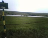 Дмитрівка з panoramio.com