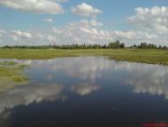 Марчихина Буда з panoramio.com